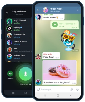 Installation de Telegram sur Android et iPhone